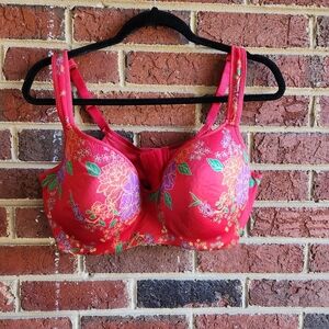 Cacique Soft Red Floral Lighty Lined Bra 40 DDD